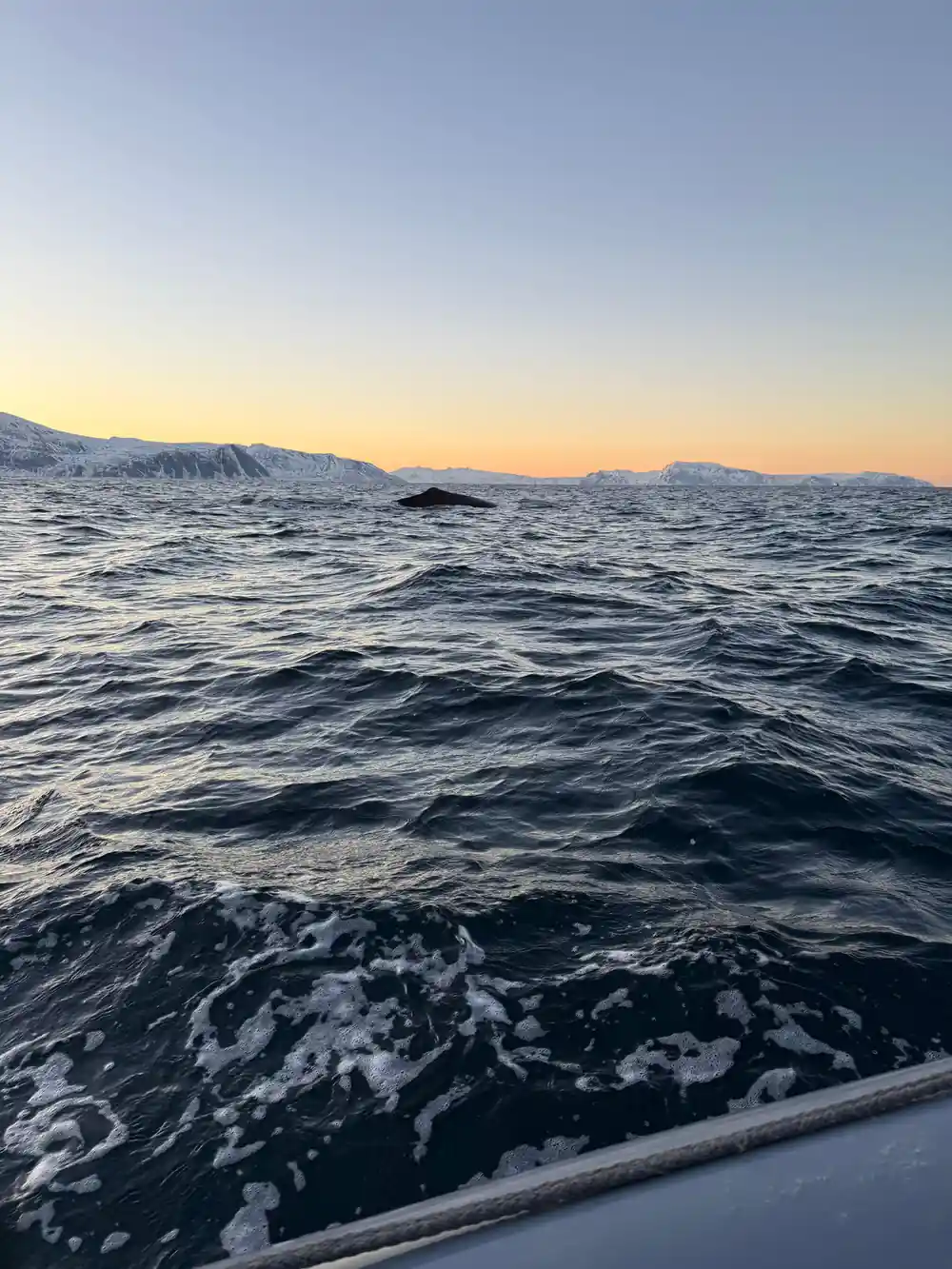 Choppy dark water running below a low snow-covered headland