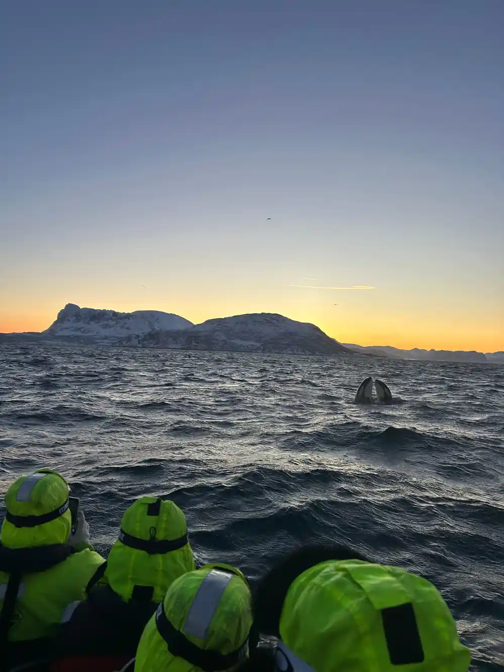 Passengers in green thermal suits watching a whale blow at sunset